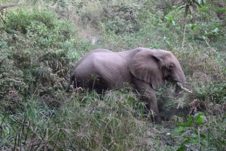 Lac Manyara