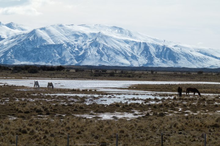 El Calafate, jolie petite bourgade