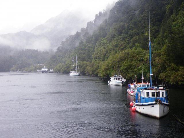 Doubtful Sound - Dunedin