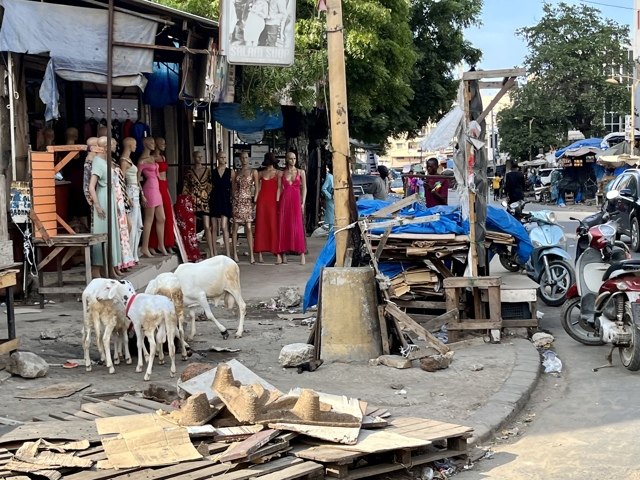 Une journée à Dakar 