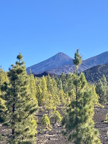 Volcan El Teide