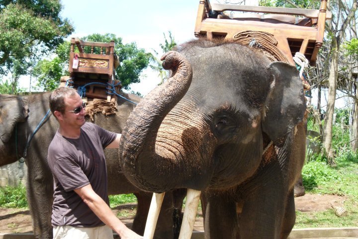 Ballade à dos d'éléphant
