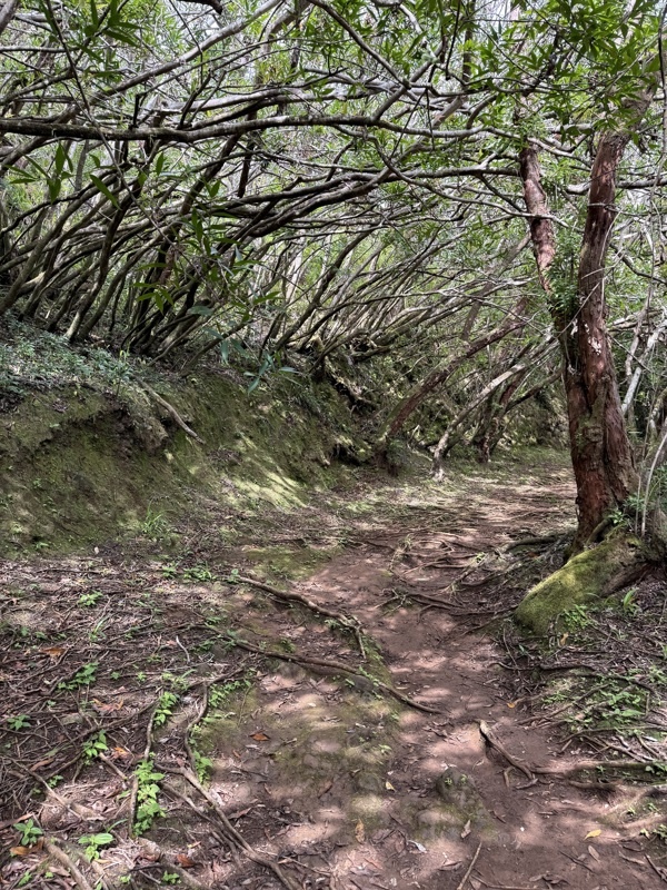 Sentier des Ravenales