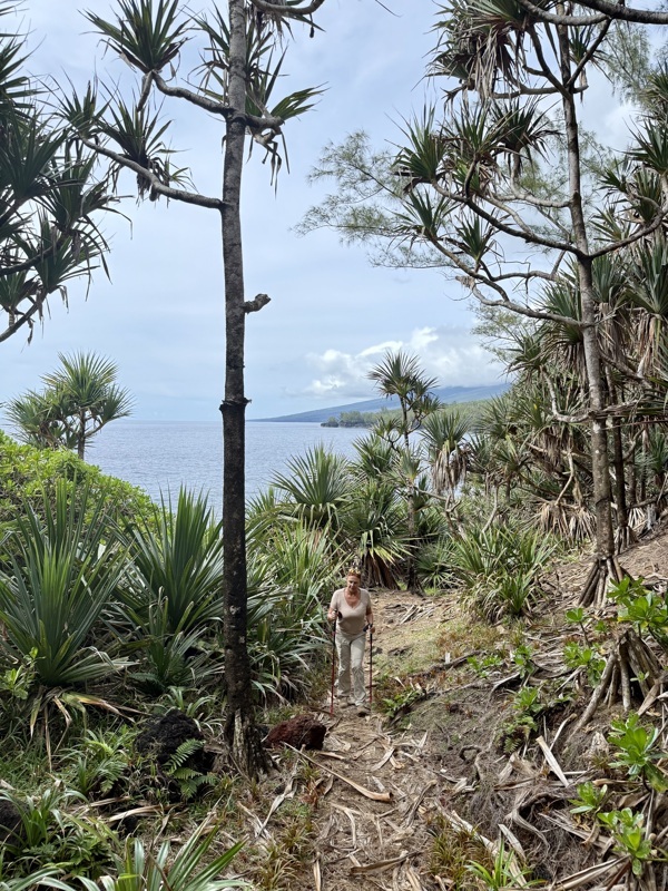 randonnée anse des cascades
