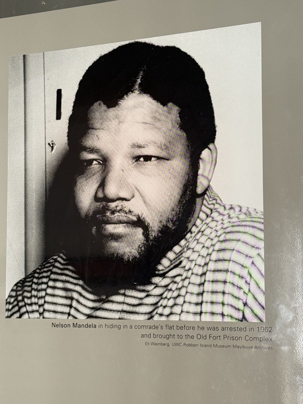 N. Mandela