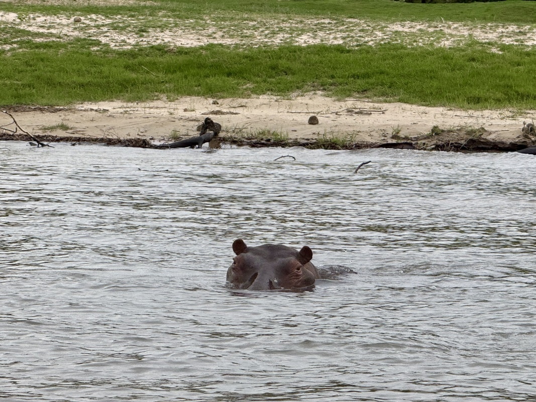 t'inquiete on reste pas