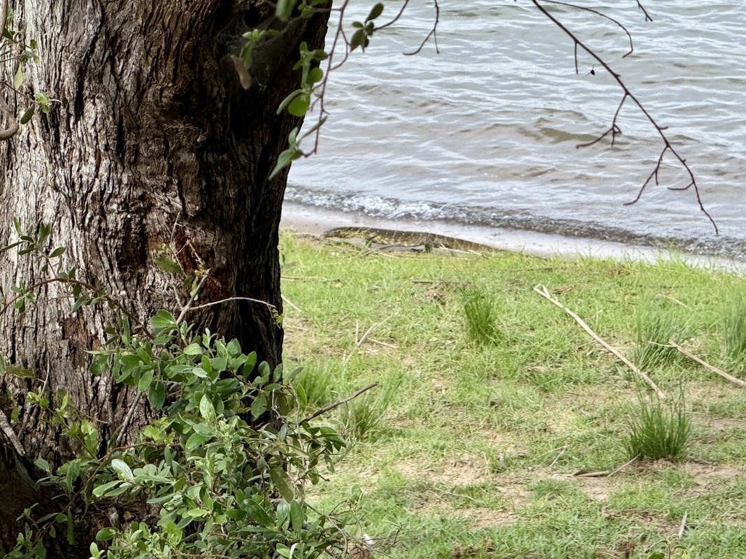 un invité qui sort de l'eau devant la terrace, c'est quoi?