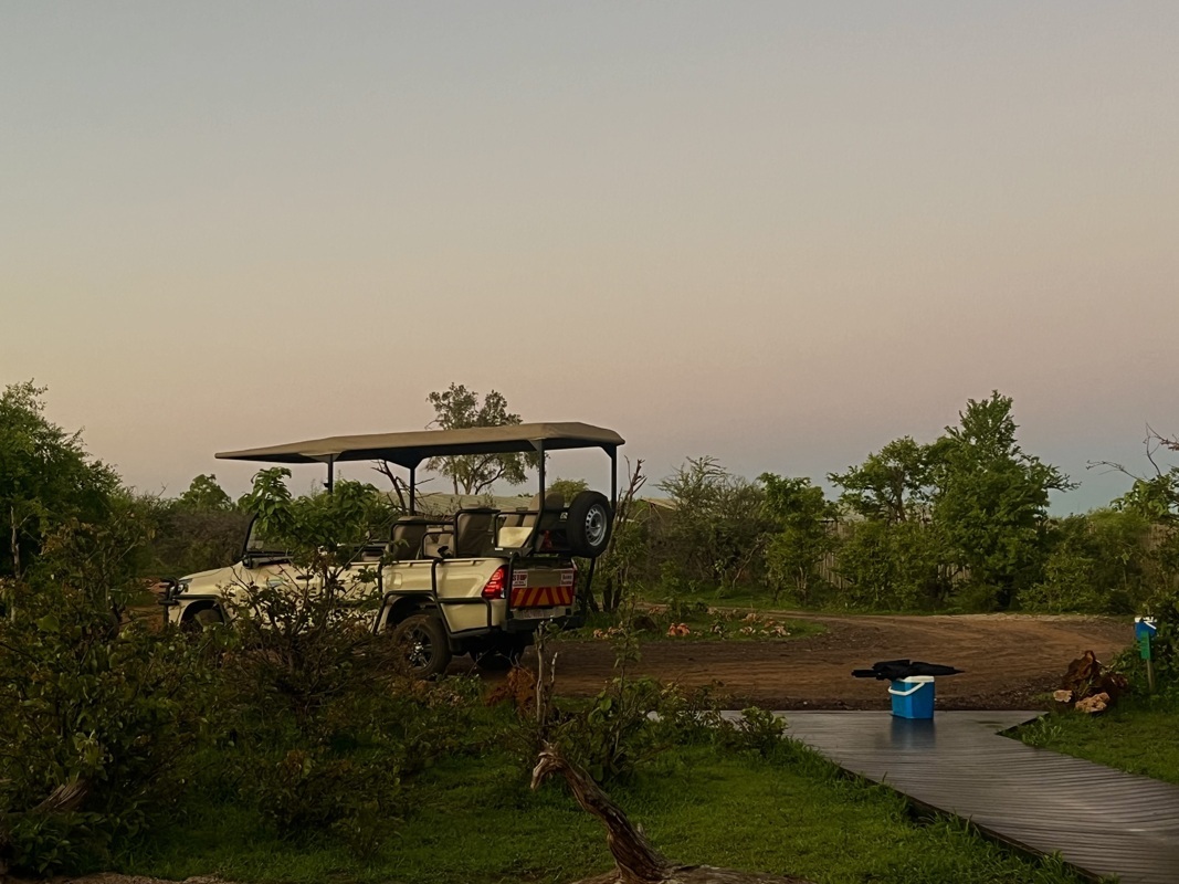 journée game drive (safari)