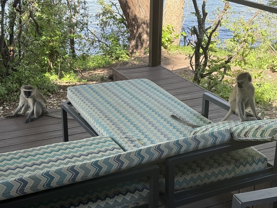 ils ont pris le relais les malins