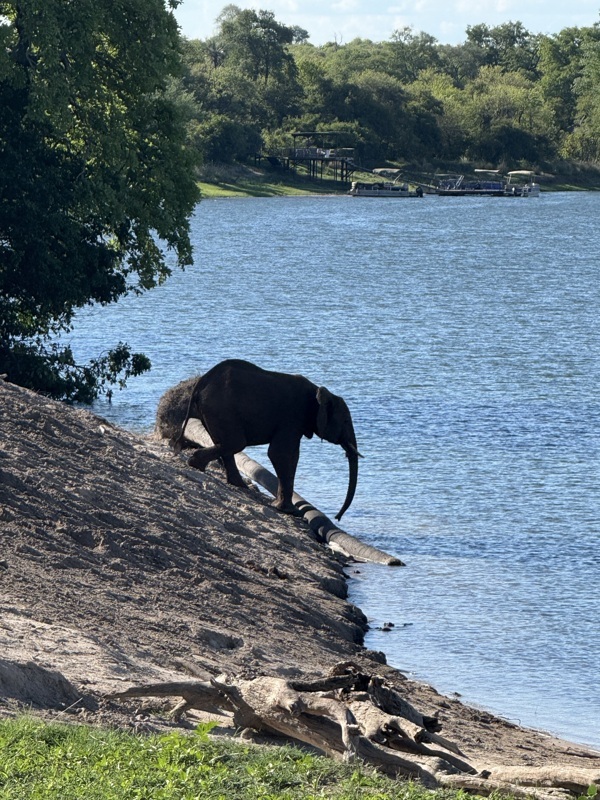 Descente à la rivière