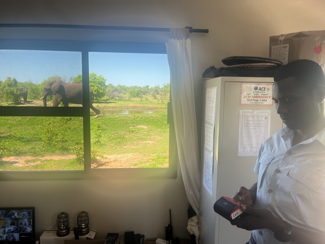 De Victoria Falls (Zim) à Port Élisabeth (AFS)