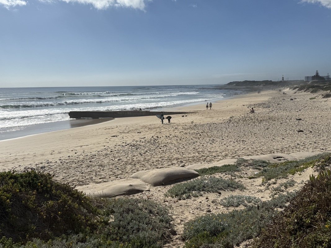 Tsitsikamma national park