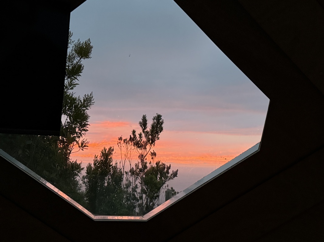 Réserve naturelle de Featherbed  à Knysna