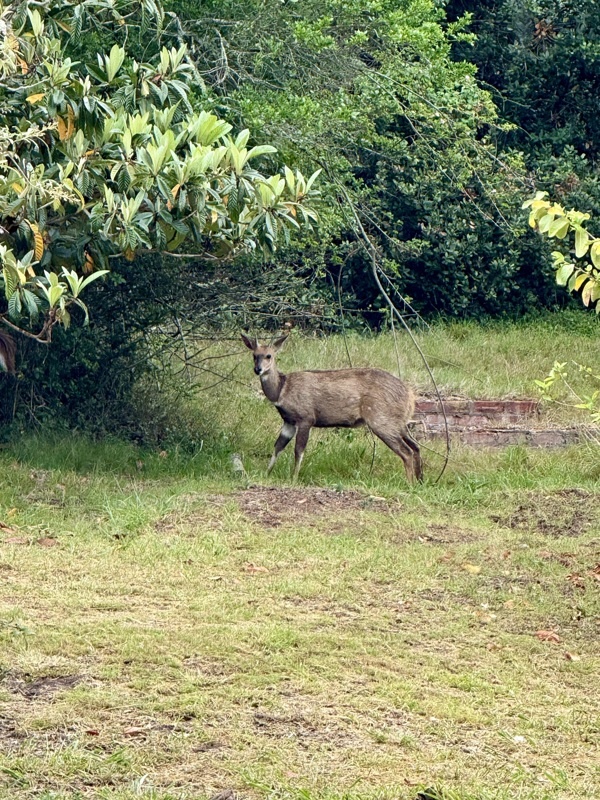 Réserve naturelle de Featherbed