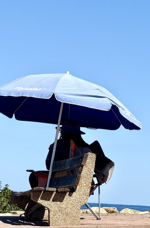 la vigie qui scrute l'océan pour l'alerte: requins! oups