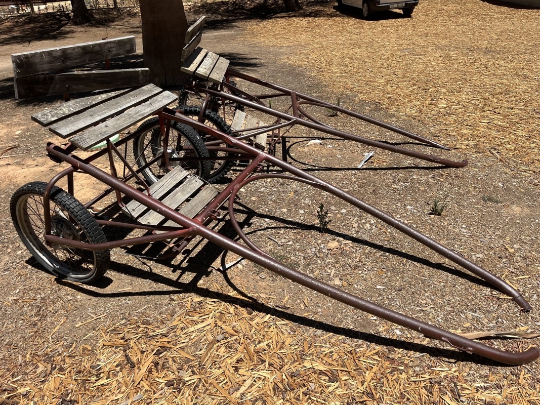 Attelage pour autruche