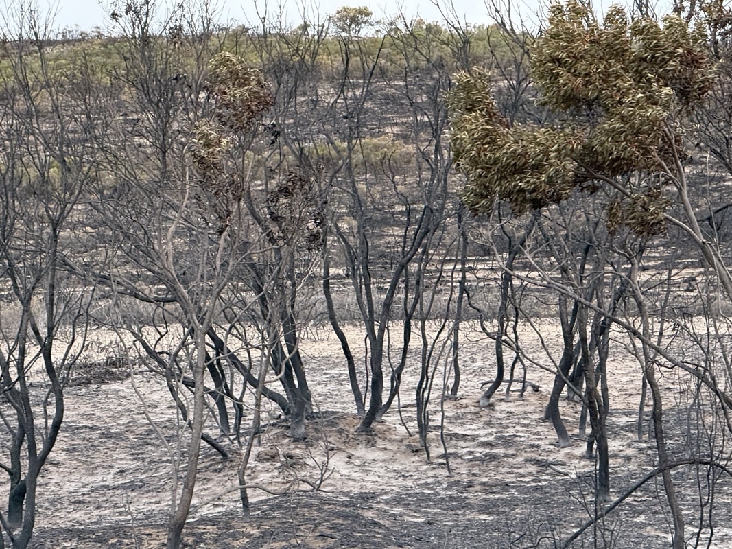 Hermanus à Franschhoek