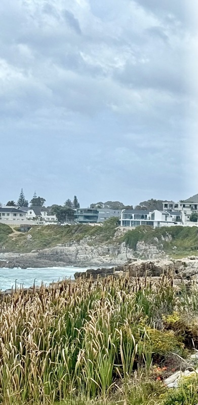 Hermanus