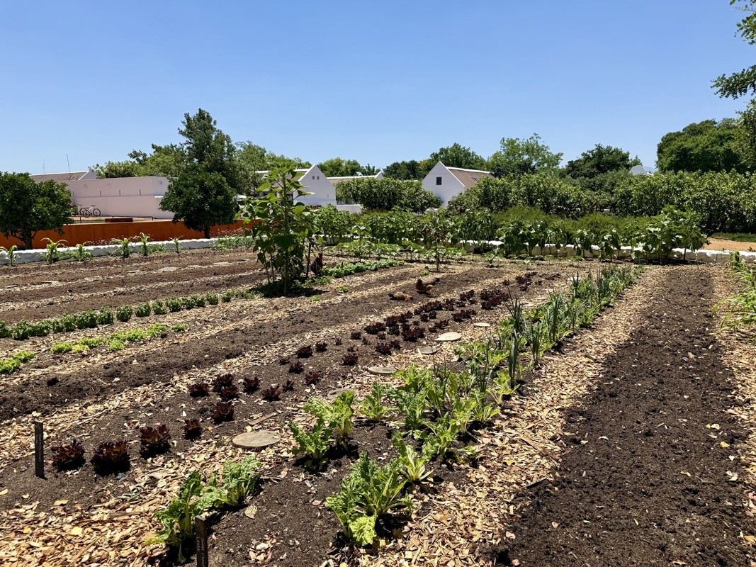 comme un jardin de Le Notre