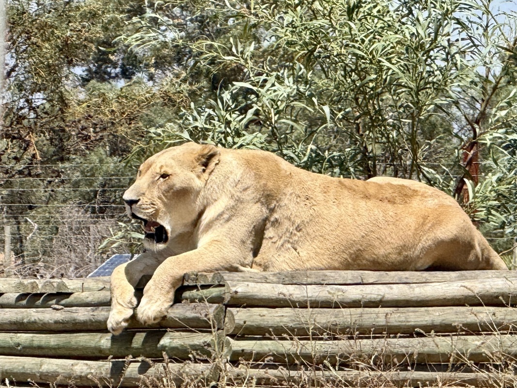 ils ont l'air heureux