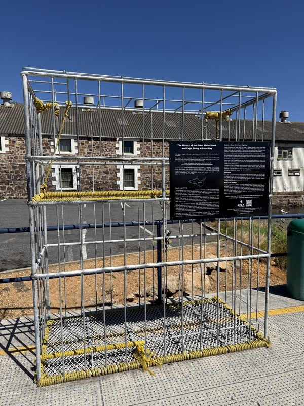 LA cage pour descendre en bouteilles voir de pres les requins blancs! mince c'est dimanche, c'est fermé! mdr