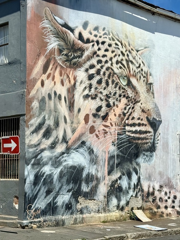la savane et ce guépard, superbement peint, regardez ses yeux...