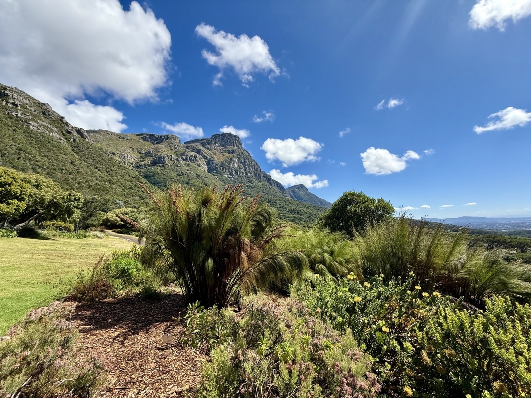 Waterfront de Cape Town et jardin de Kirstenbosch