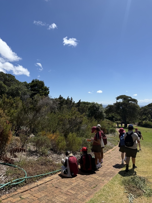 Les écoliers apprennent
