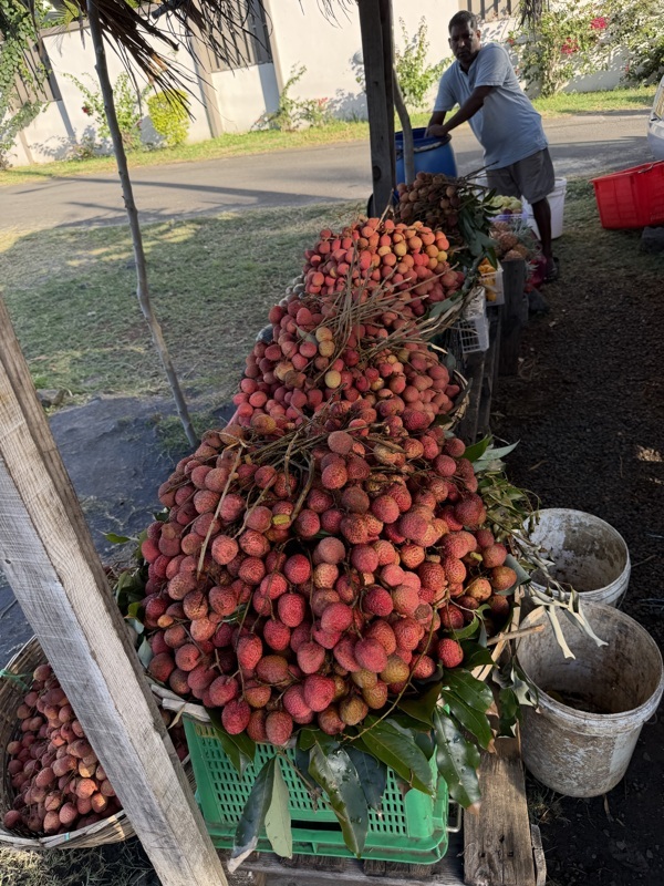 c'est la saison du lichi, miam
