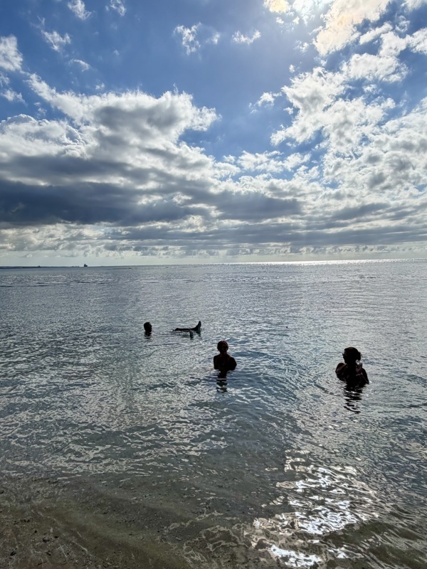 Fin de journée tranquille quoi….