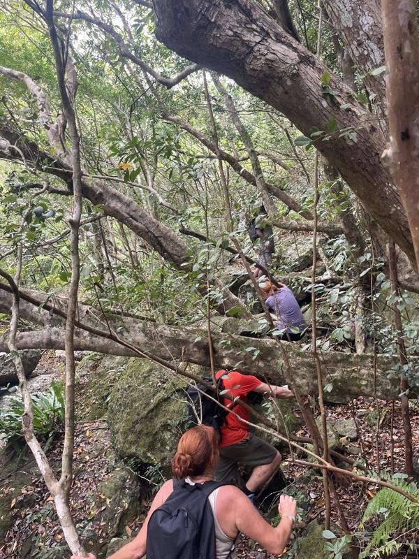 Là ça remonte fort