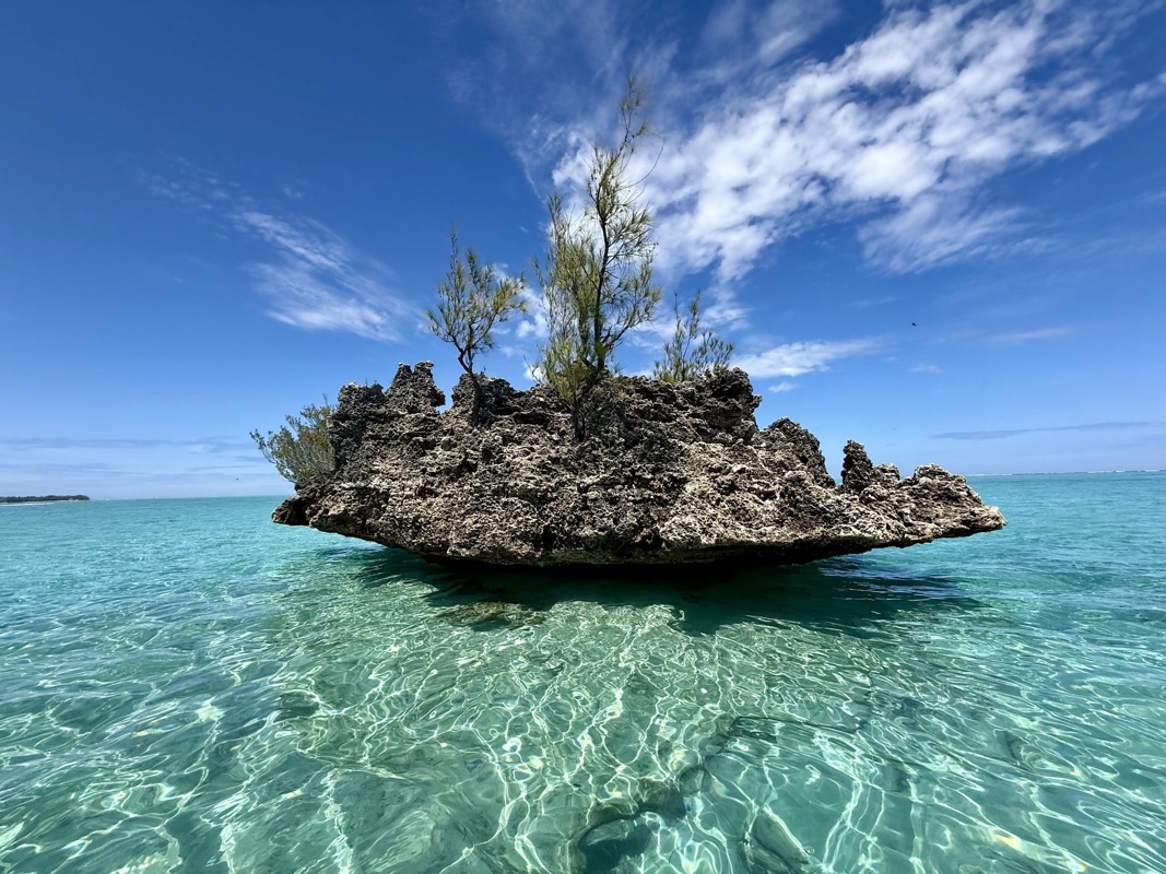 Joli mais y a pas de quoi en faire un sketch! Loin de là 