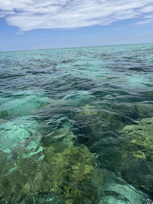 Eau turquoise transparente 