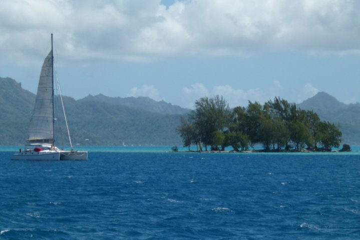 Raiatea et la riviere Fararoa