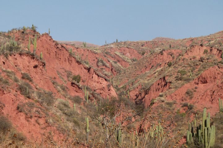 Parc de Cardones et Cachi